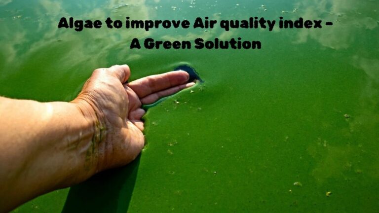 Algae to improve Air quality index