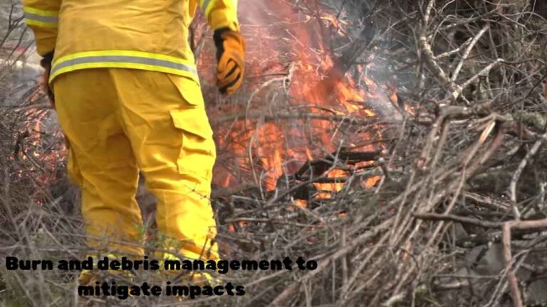 Burn and debris management