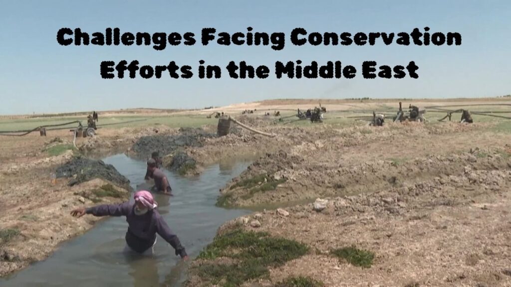 Challenges Facing Conservation Efforts in the Middle East
