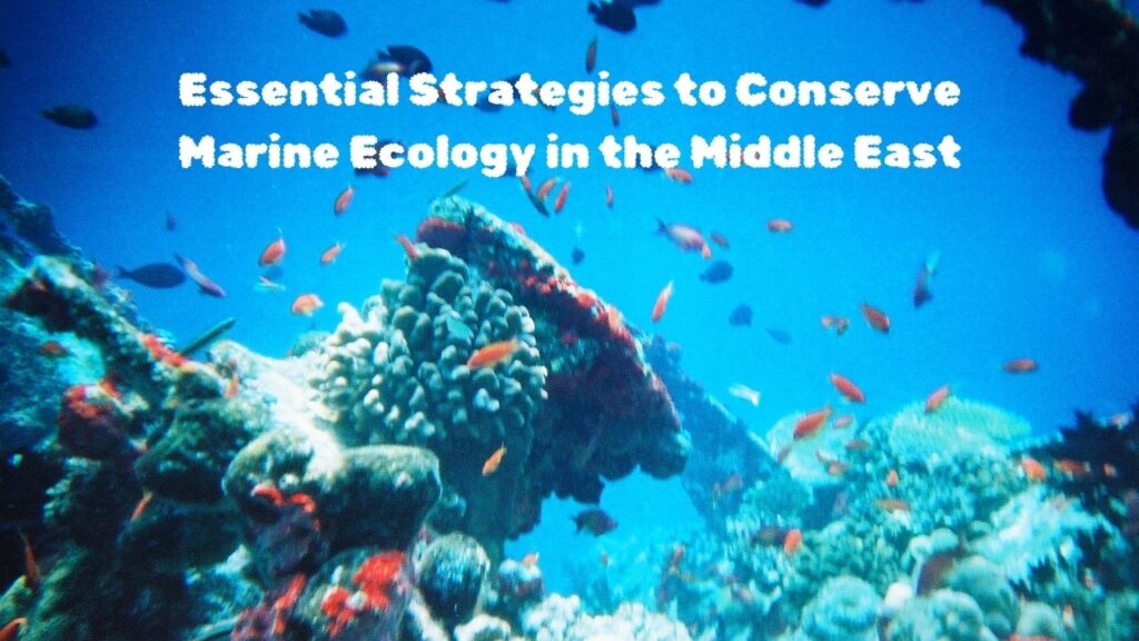 Essential Strategies to Conserve Marine Ecology in the Middle East