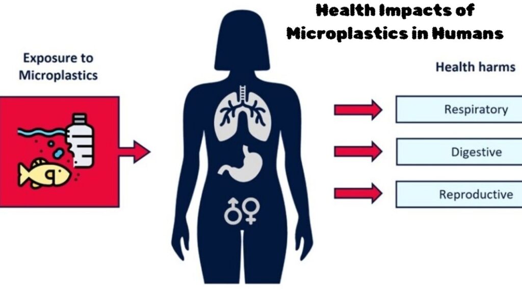 Health Impacts of Microplastics in Humans