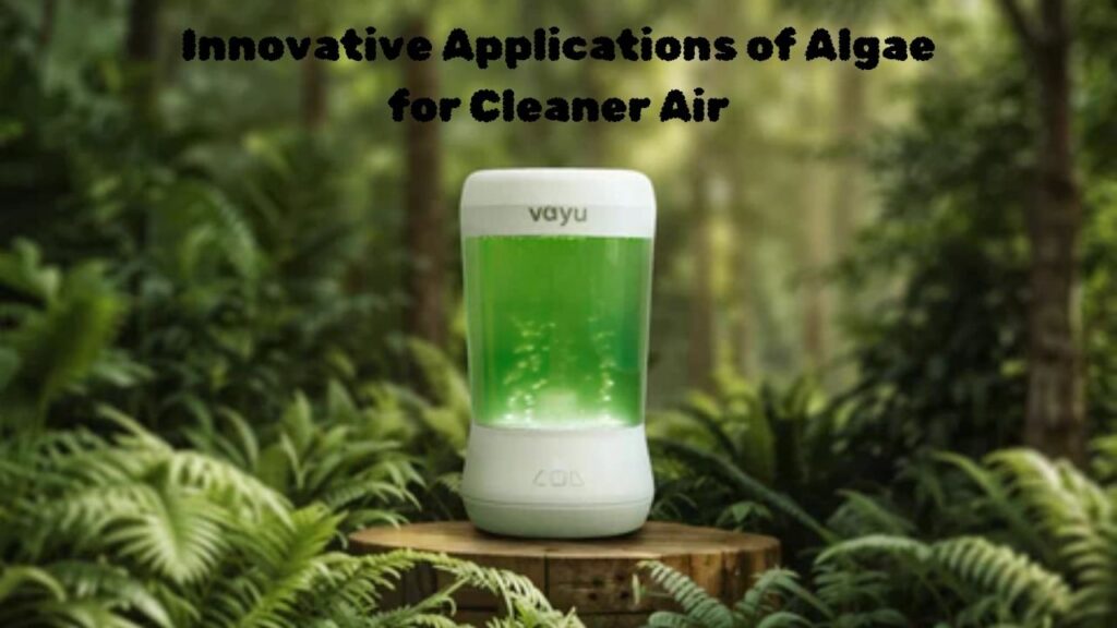 Innovative Applications of Algae for Cleaner Air