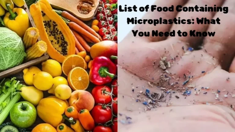 List of Food Containing Microplastics