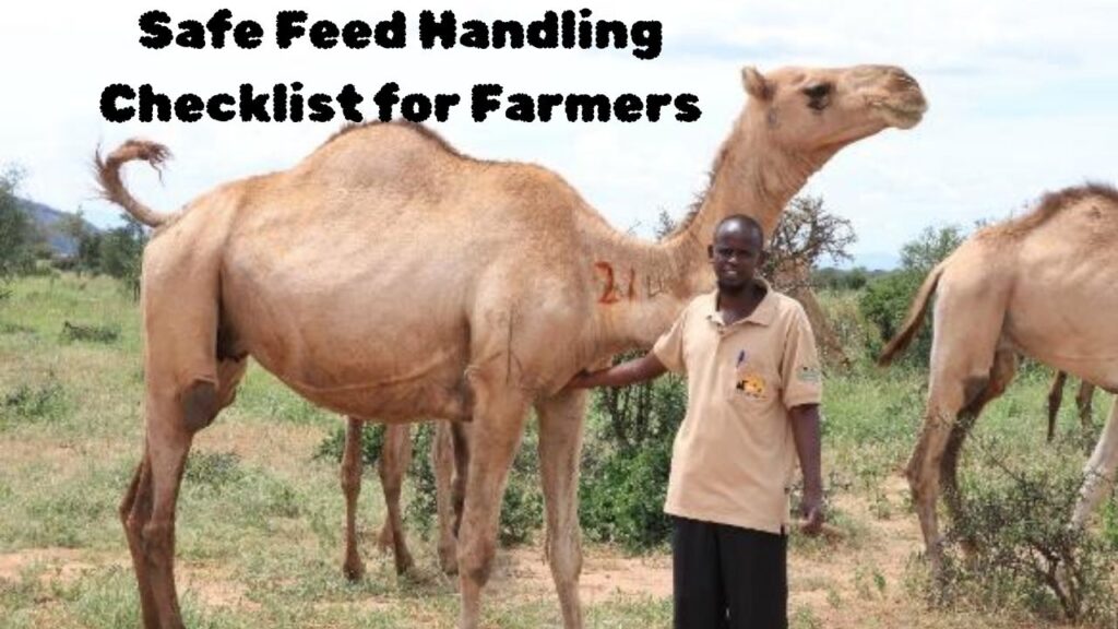Safe Feed Handling Checklist for Farmers