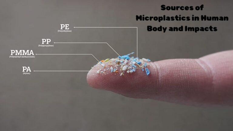 Sources of Microplastics in Human Body and Impacts